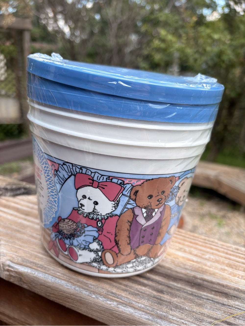 Vintage Cottagecore Plastic Storage Containers